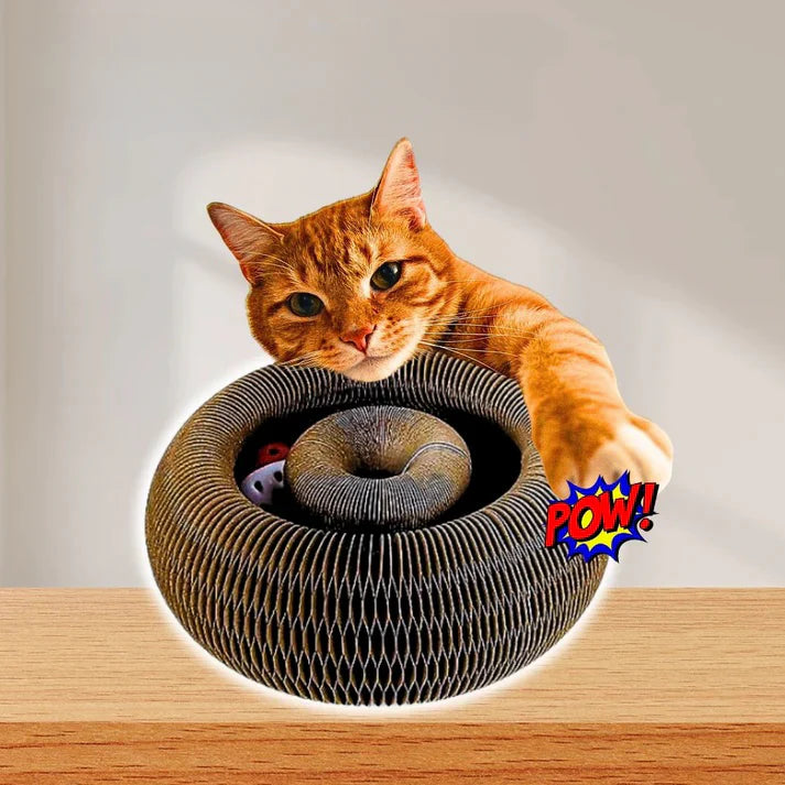 Viviguru™ The interactive mental physical exercise for cats