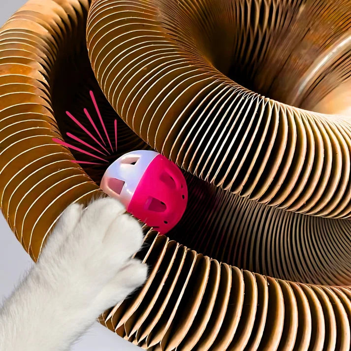 Viviguru™ The interactive mental physical exercise for cats