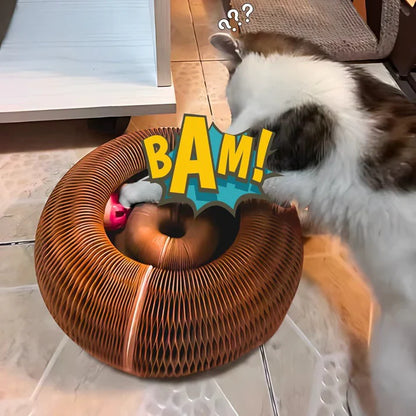 Viviguru™ The interactive mental physical exercise for cats