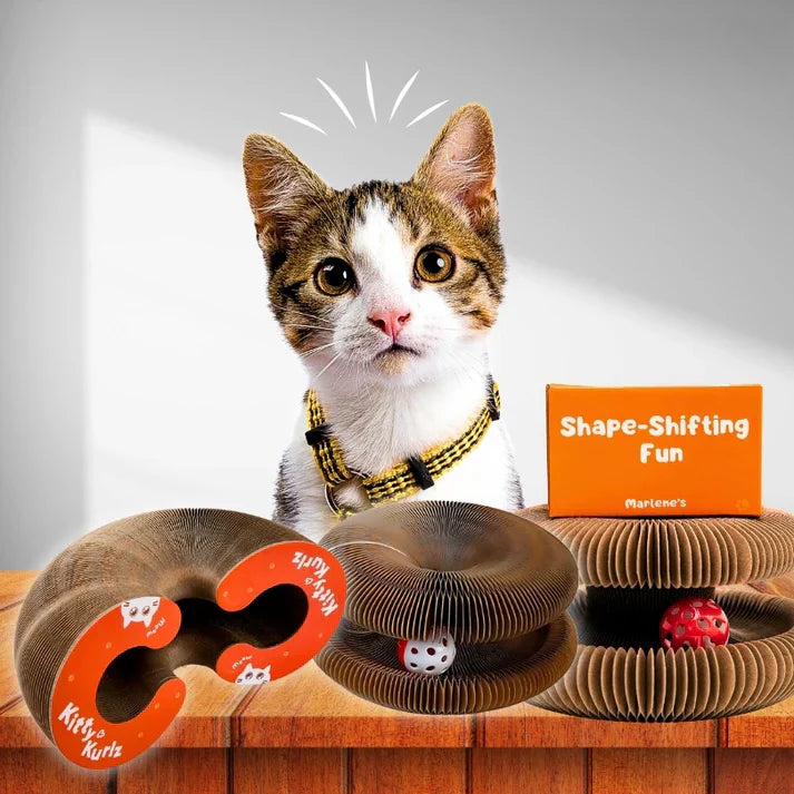 Viviguru™ The interactive mental physical exercise for cats